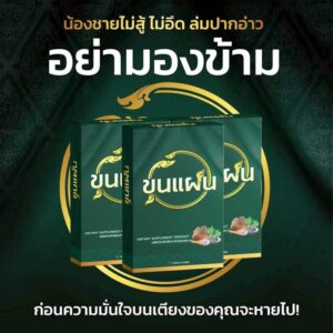 ขุนแผน